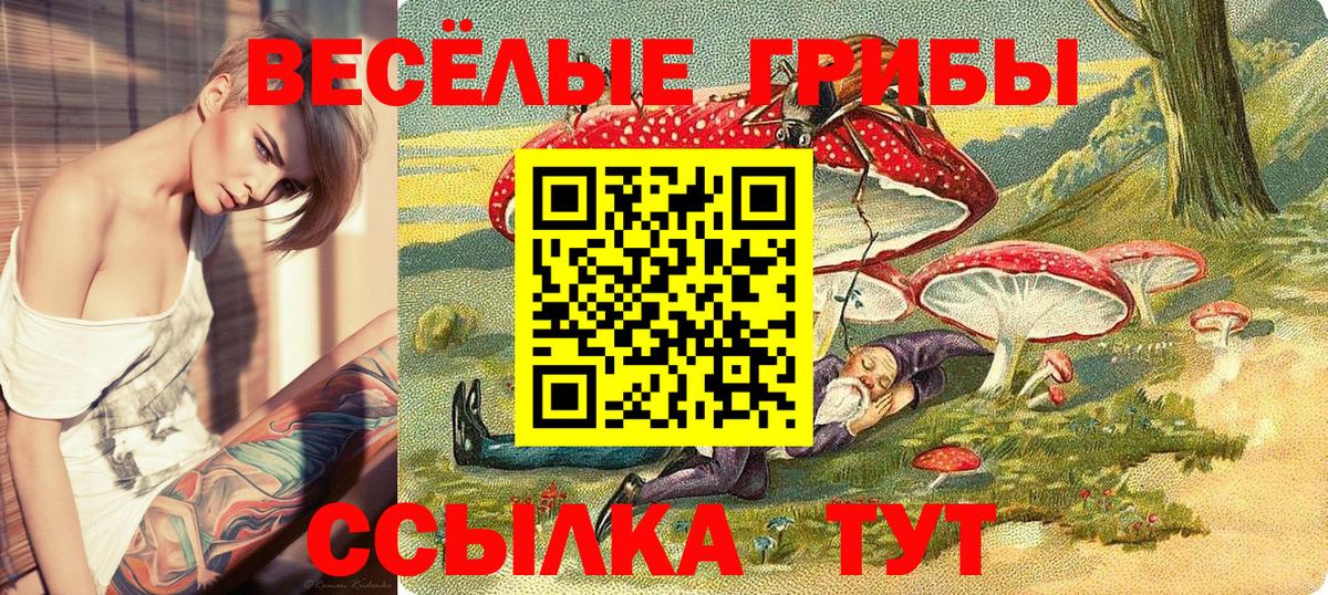 Галлюциногенные грибы Psilocybe Реж