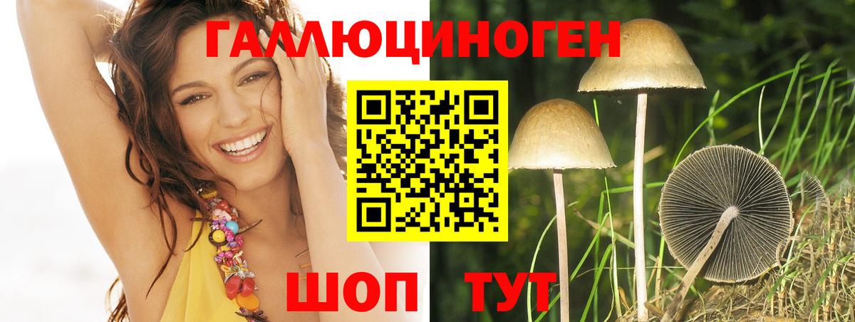 Псилоцибиновые грибы мицелий  Псилоцибиновые грибы ЛСД  Вход с VPN  Реж 